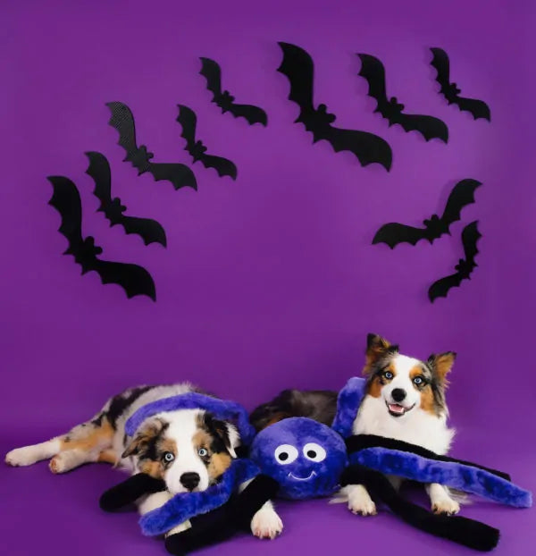 Purple spider dog store toy