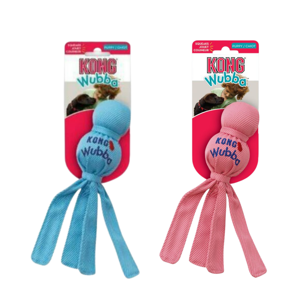 Best kong for puppy best sale