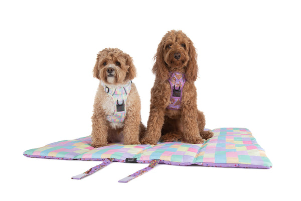 Big and Little Dogs-ON-THE-GO PET MAT: Purple Fairy Bread/Gelato