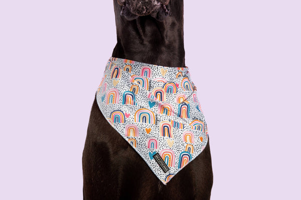 Big and Little Dogs-DOG BANDANA: Chasing Rainbows