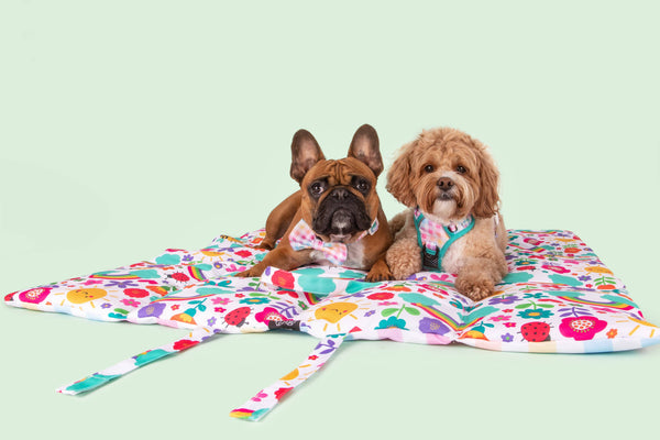 Big And Little Dogs-ON-THE-GO PET MAT: Follow The Rainbow/Rainbow Gingham