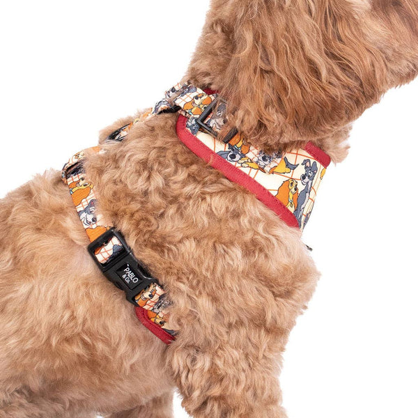 Pablo & Co- Disney Lady and the Tramp: Adjustable Dog Harness