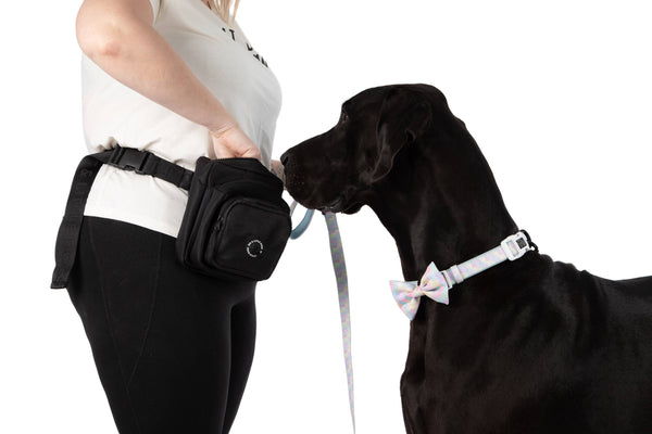 Big and Little Dogs-THE ULTIMATE TRAINING POUCH: Black