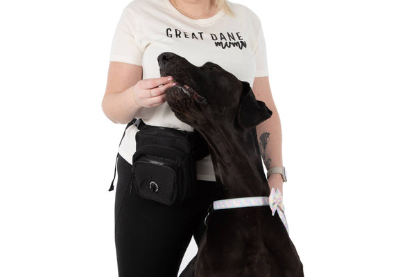 Big and Little Dogs-THE ULTIMATE TRAINING POUCH: Black