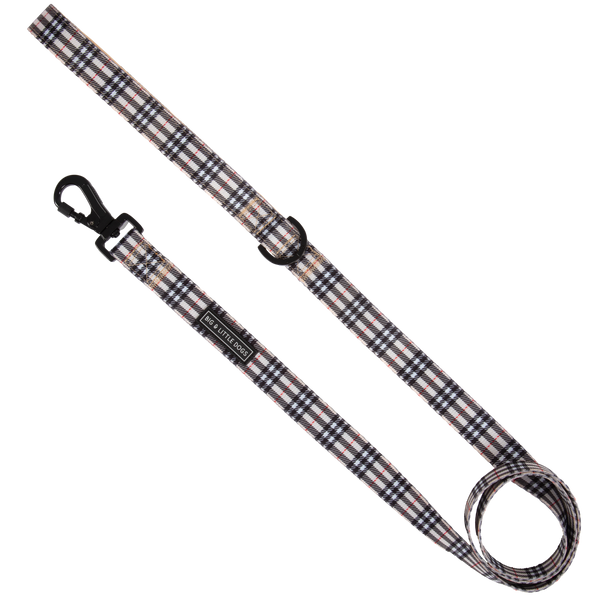 Big And Little Dogs-DOG LEASH: Nova Plaid