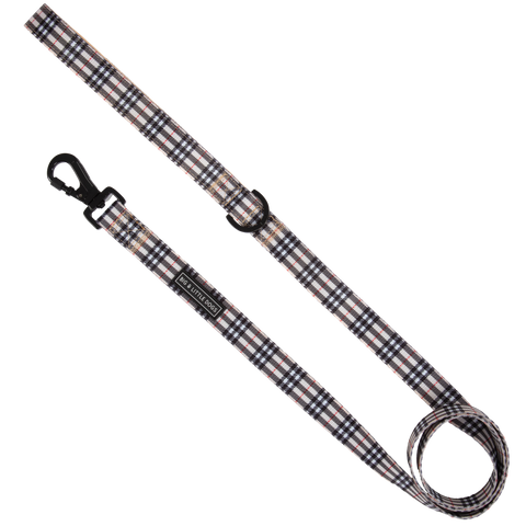 Big And Little Dogs-DOG LEASH: Nova Plaid