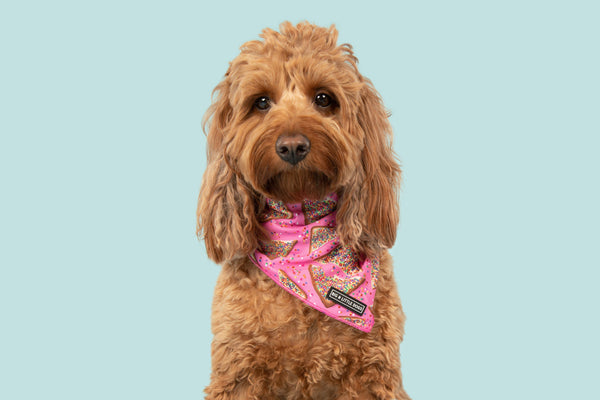 Big And Little Dogs-DOG BANDANA: Pink Fairy Bread