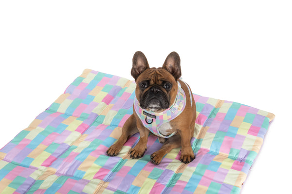 Big and Little Dogs-ON-THE-GO PET MAT: Purple Fairy Bread/Gelato