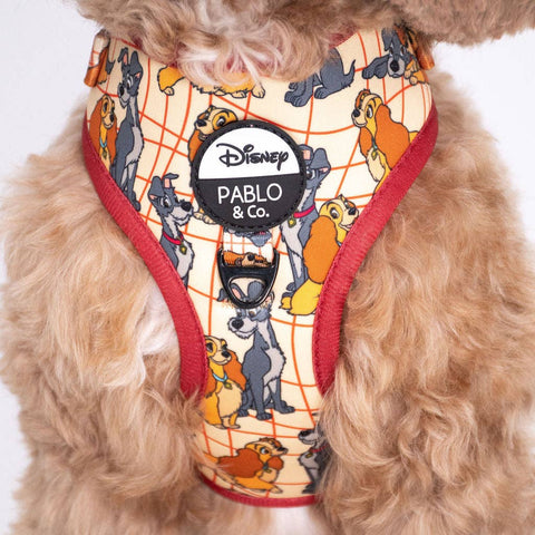 Pablo & Co- Disney Lady and the Tramp: Adjustable Dog Harness