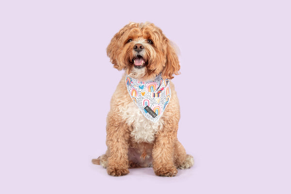 Big and Little Dogs-DOG BANDANA: Chasing Rainbows