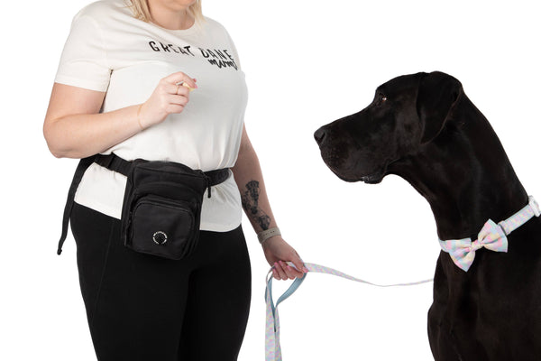 Big and Little Dogs-THE ULTIMATE TRAINING POUCH: Black