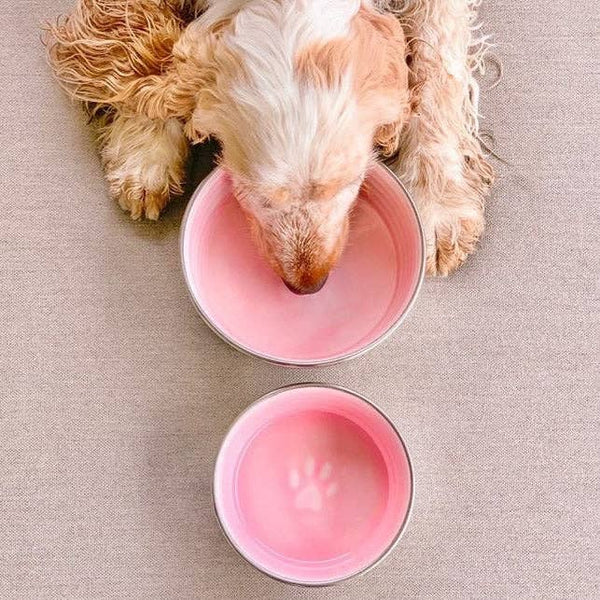 Loving Pets Le Bol Glazed Interior Bowl Rose