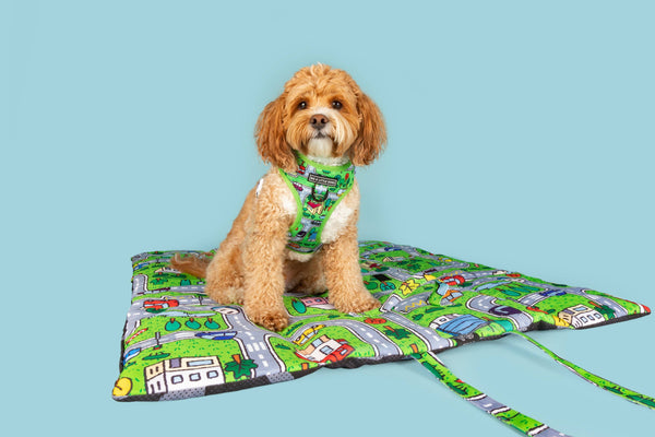 Big And Little Dogs-ON-THE-GO PET MAT: Traffic Town (UPDATED REVERSE!)