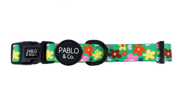 Pablo & Co-Funky Flowers: COLLAR