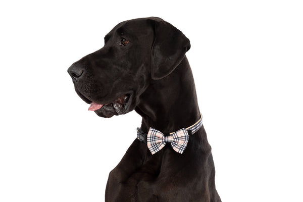 Big And Little Dogs-DOG COLLAR & BOW TIE: Nova Plaid