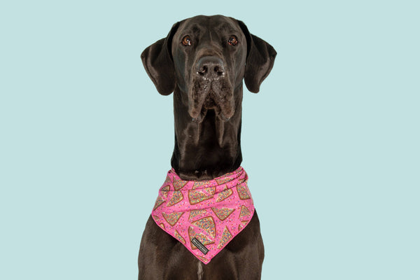 Big And Little Dogs-DOG BANDANA: Pink Fairy Bread