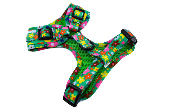 Pablo & Co-Funky Flowers: ADJUSTABLE HARNESS