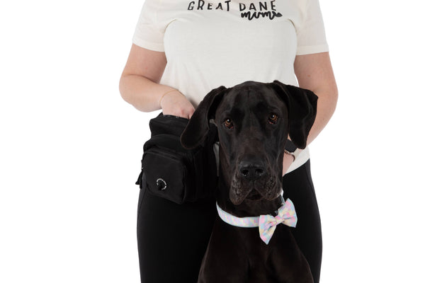 Big and Little Dogs-THE ULTIMATE TRAINING POUCH: Black