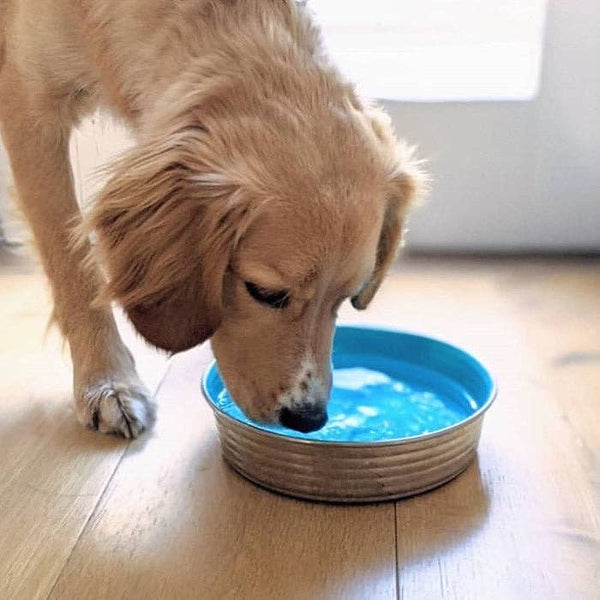 Loving Pets Le Bol Glazed Interior Bowl Seine Blue