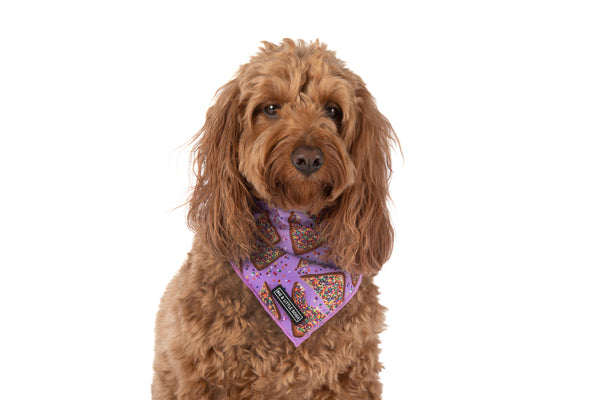 Big and Little Dogs-DOG BANDANA: Purple Fairy Bread