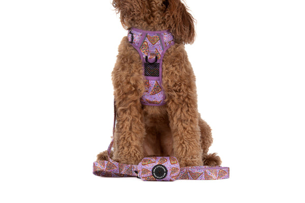 Big and Little Dogs-DOG POOP BAG HOLDER: Purple Fairy Bread