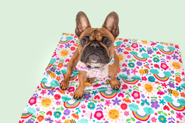 Big And Little Dogs-ON-THE-GO PET MAT: Follow The Rainbow/Rainbow Gingham