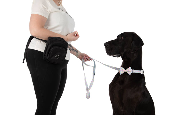 Big and Little Dogs-THE ULTIMATE TRAINING POUCH: Black