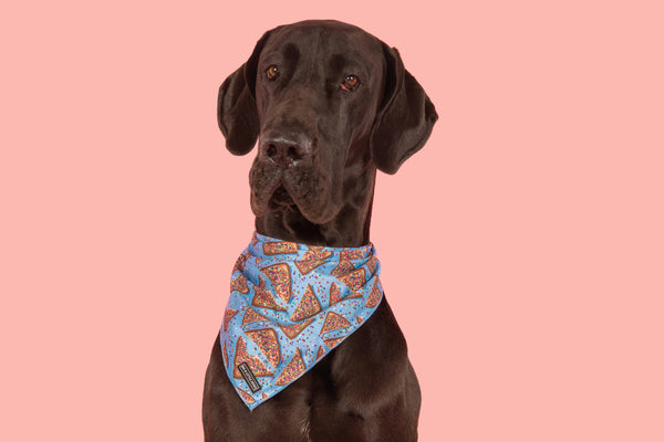 Big And Little Dogs-DOG BANDANA: Blue Fairy Bread