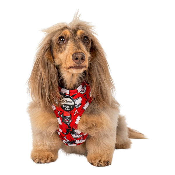 Pabl & Co- Dr. Seuss' The Cat in the Hat: Adjustable Dog Harness