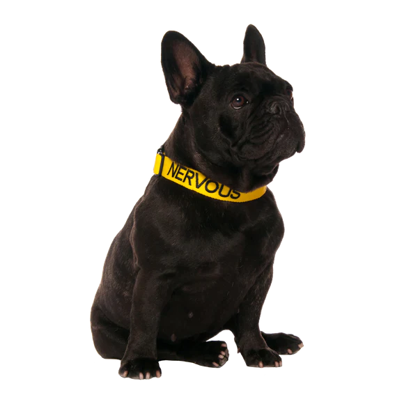 Friendly Dog Collars-NERVOUS- Clip Collar S/M