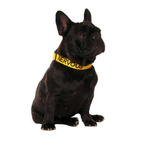 Friendly Dog Collars-NERVOUS- Clip Collar S/M