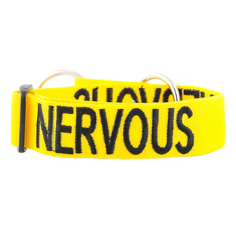 Friendly Dog Collars- NERVOUS- Semi Slip Collar L/XXL