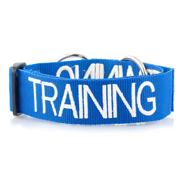 Friendly Dog Collars- TRAINING- Semi Slip Collar L/XXL