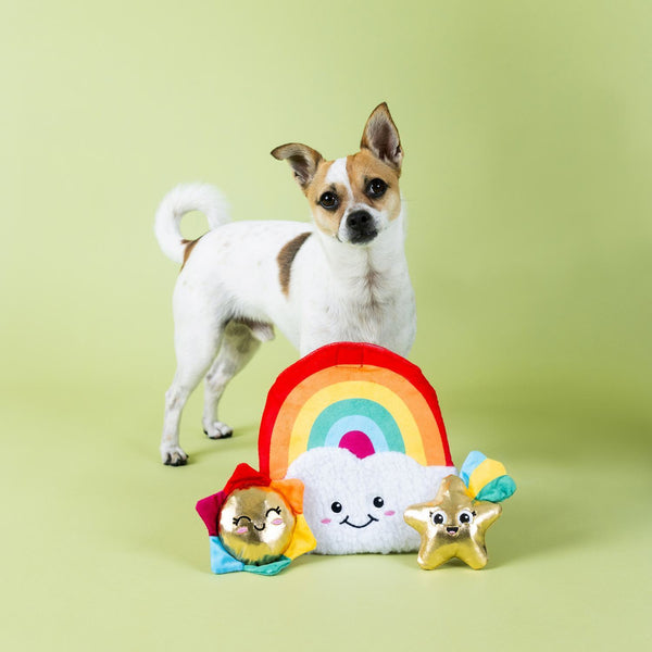 Fringe Studio Look On The Bright Side Hide N Seek Plush Dog Toy