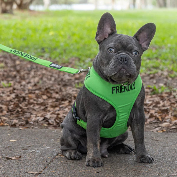 Friendly Dog Collars- FRIENDLY- Adjustable Vest Harness