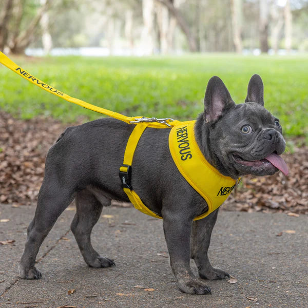 Friendly Dog Collars- NERVOUS- Adjustable Vest Harness