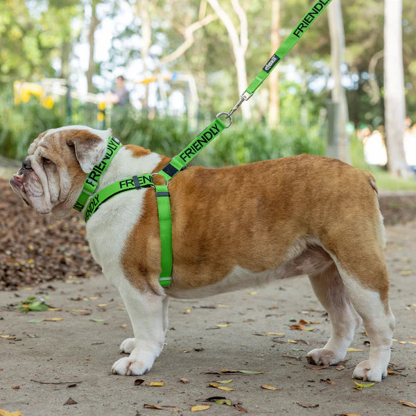 Friendly Dog Collars- FRIENDLY- No Pull Adjustable Strap Dog Harness L/XL