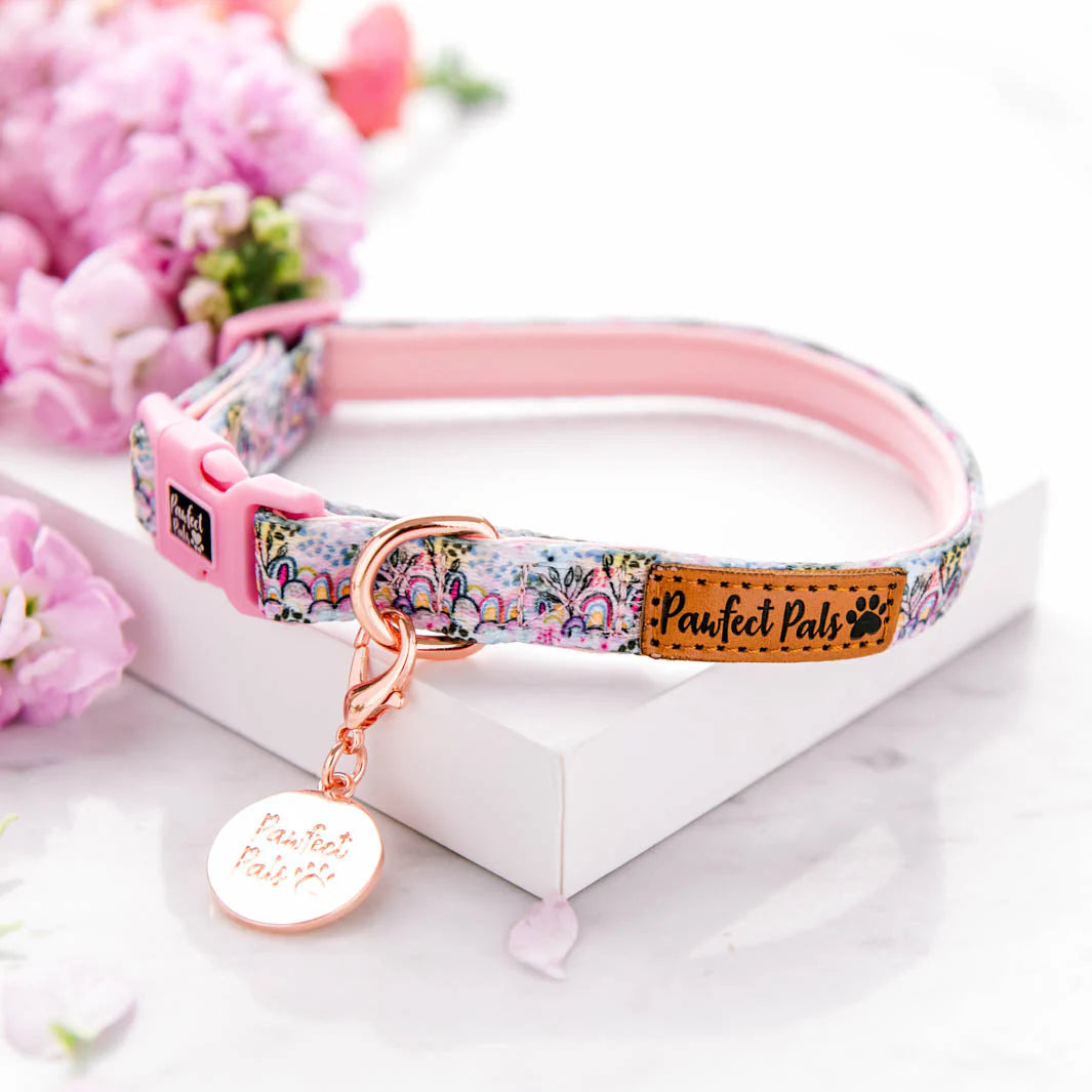 Pawfect Pals-Got It Glowing On-Boho Vibes-Soft Collar