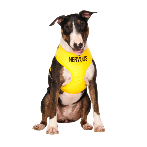 Friendly Dog Collars- NERVOUS- Adjustable Vest Harness