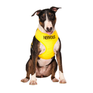 Friendly Dog Collars- NERVOUS- Adjustable Vest Harness