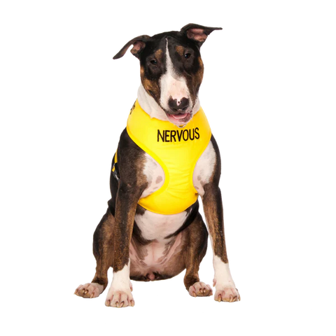 Friendly Dog Collars- NERVOUS- Adjustable Vest Harness