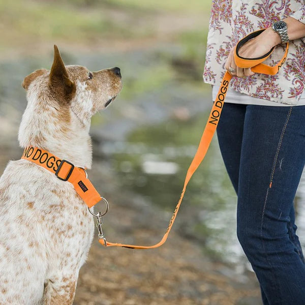 Friendly Dog Collars- NO DOGS- Standard Lead 120cm