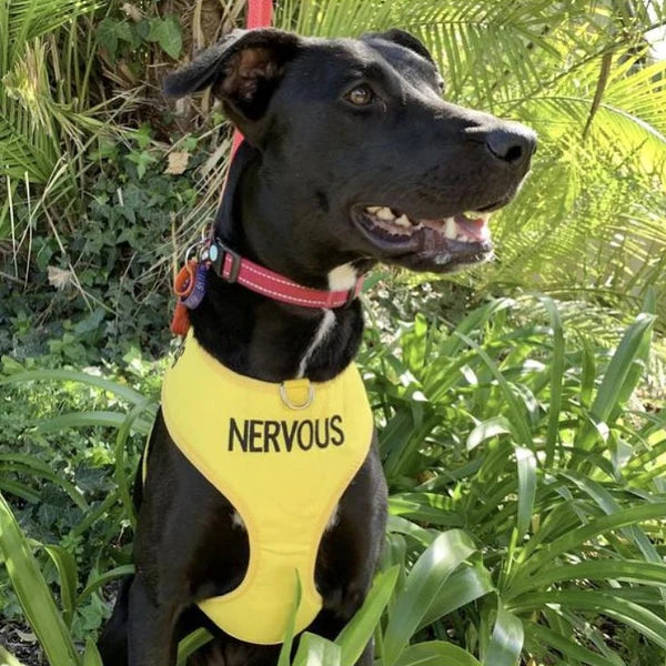 Friendly Dog Collars- NERVOUS- Adjustable Vest Harness