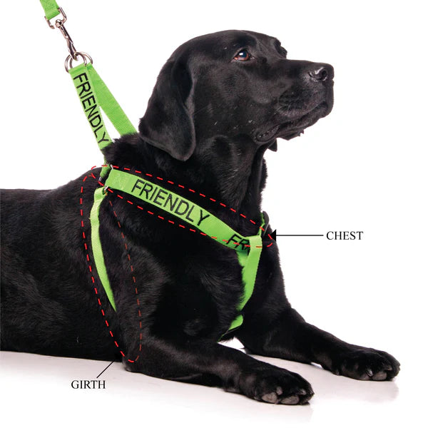 Friendly Dog Collars- FRIENDLY- No Pull Adjustable Strap Dog Harness L/XL