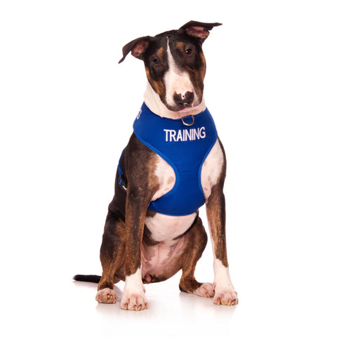 Friendly Dog Collars- TRAINING- Adjustable Vest Harness