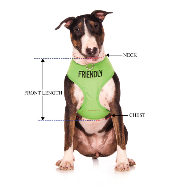 Friendly Dog Collars- FRIENDLY- Adjustable Vest Harness