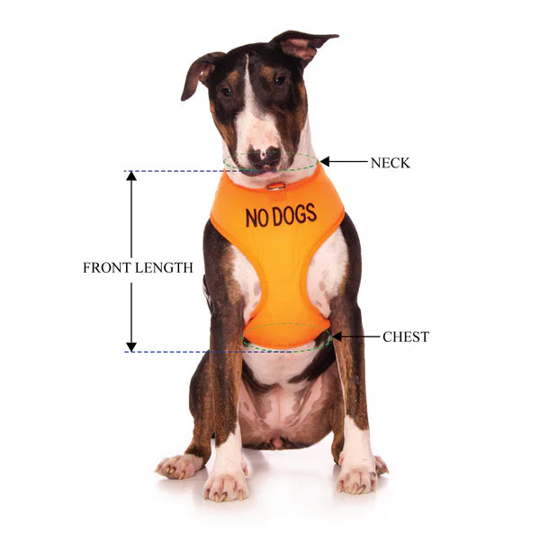 Friendly Dog Collars- NO DOGS- Adjustable Vest Harness