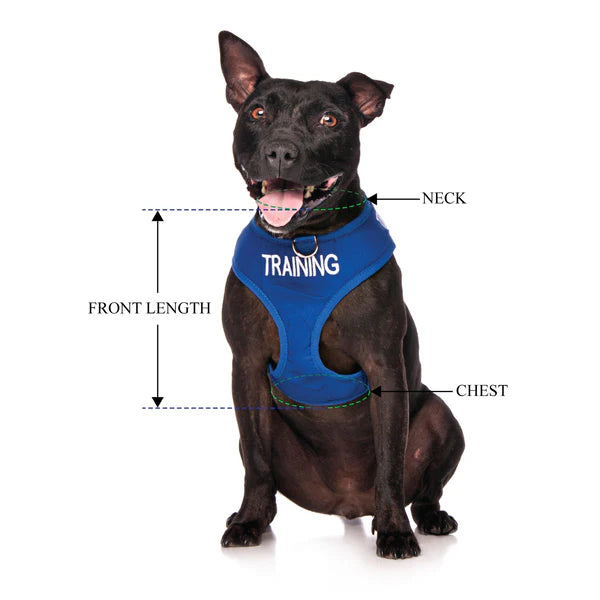 Friendly Dog Collars- TRAINING- Adjustable Vest Harness