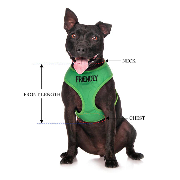 Friendly Dog Collars- FRIENDLY- Adjustable Vest Harness