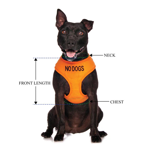 Friendly Dog Collars- NO DOGS- Adjustable Vest Harness